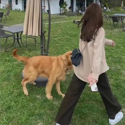 舞院秘闻